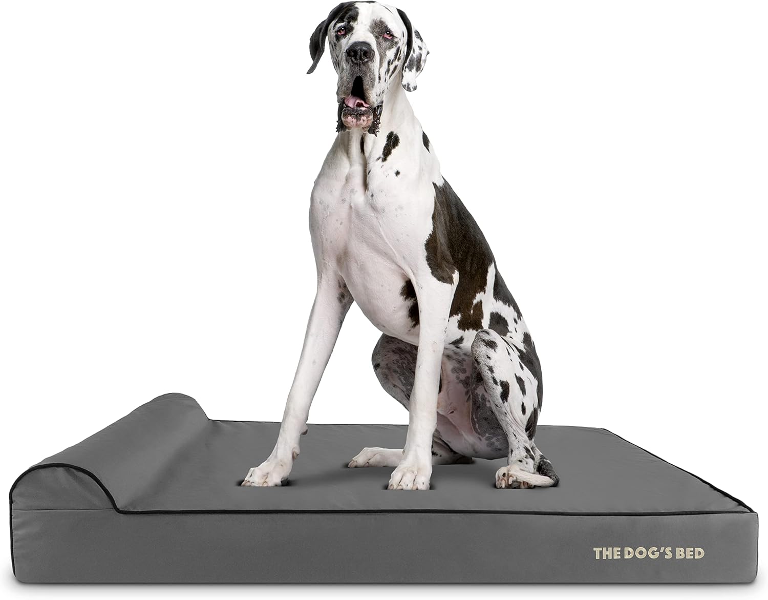 The Dog’s Bed Orthopedic Headrest Dog Bed XXL Grey/Black 54x36, Memory Foam, Pain Relief for Arthritis, Hip & Elbow Dysplasia, Post Surgery, Lameness, Veterinary Approved, Waterproof Washable Cover - Pet Explorer