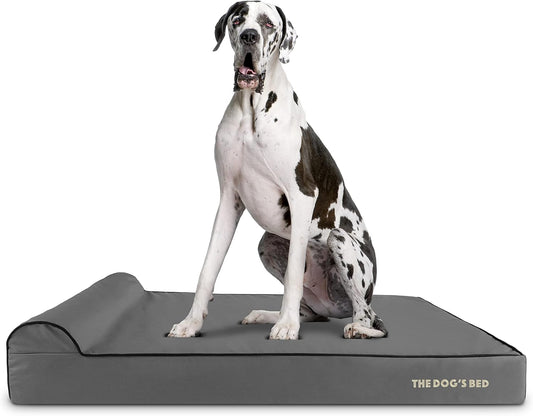 The Dog’s Bed Orthopedic Headrest Dog Bed XXL Grey/Black 54x36, Memory Foam, Pain Relief for Arthritis, Hip & Elbow Dysplasia, Post Surgery, Lameness, Veterinary Approved, Waterproof Washable Cover - Pet Explorer