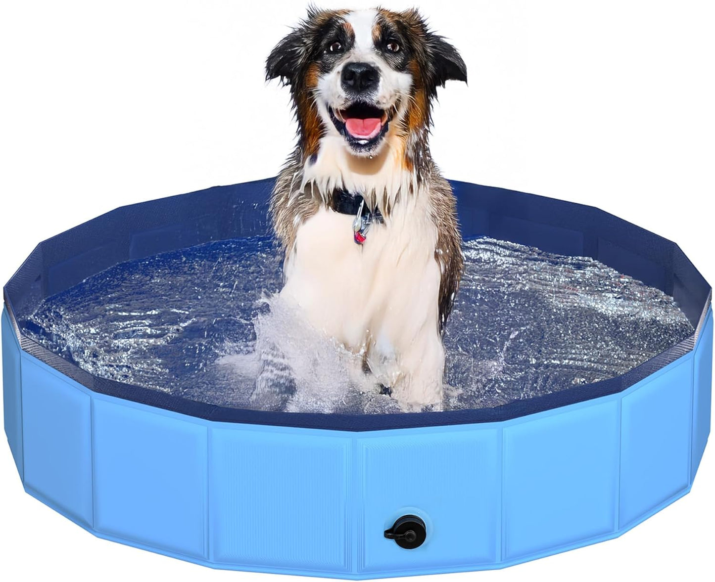39.5" x 12" Foldable Dog Pool - Collapsible Hard Plastic Kiddie Pool for Dogs & Kids, Non-Slip Pet Bath Tub for Outdoor Backyard Use, Lightweight & Portable (Blue) - Pet Explorer