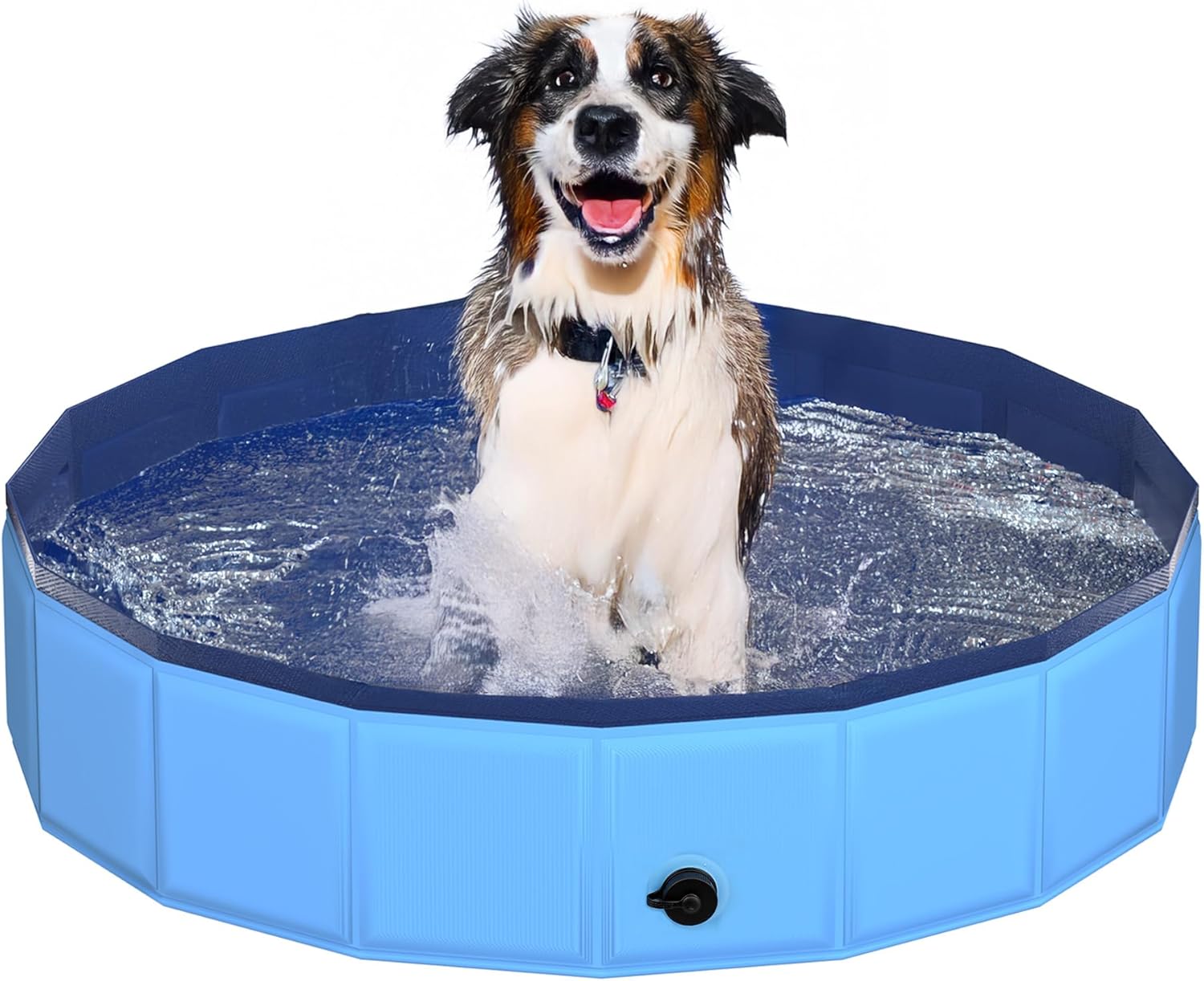 39.5" x 12" Foldable Dog Pool - Collapsible Hard Plastic Kiddie Pool for Dogs & Kids, Non-Slip Pet Bath Tub for Outdoor Backyard Use, Lightweight & Portable (Blue) - Pet Explorer