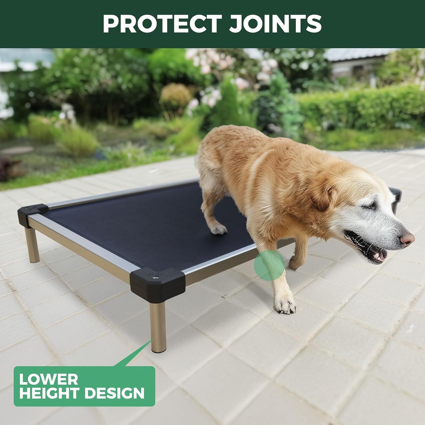 FXW TitanNest Chew-Proof Elevated Dog Bed, Raised Cot for Indoor/Outdoor/Camping Use, Durable & Waterproof Cooling Pet Bed for Medium Dogs, 42.0" L x 27.0" W x 5.0" H, Black