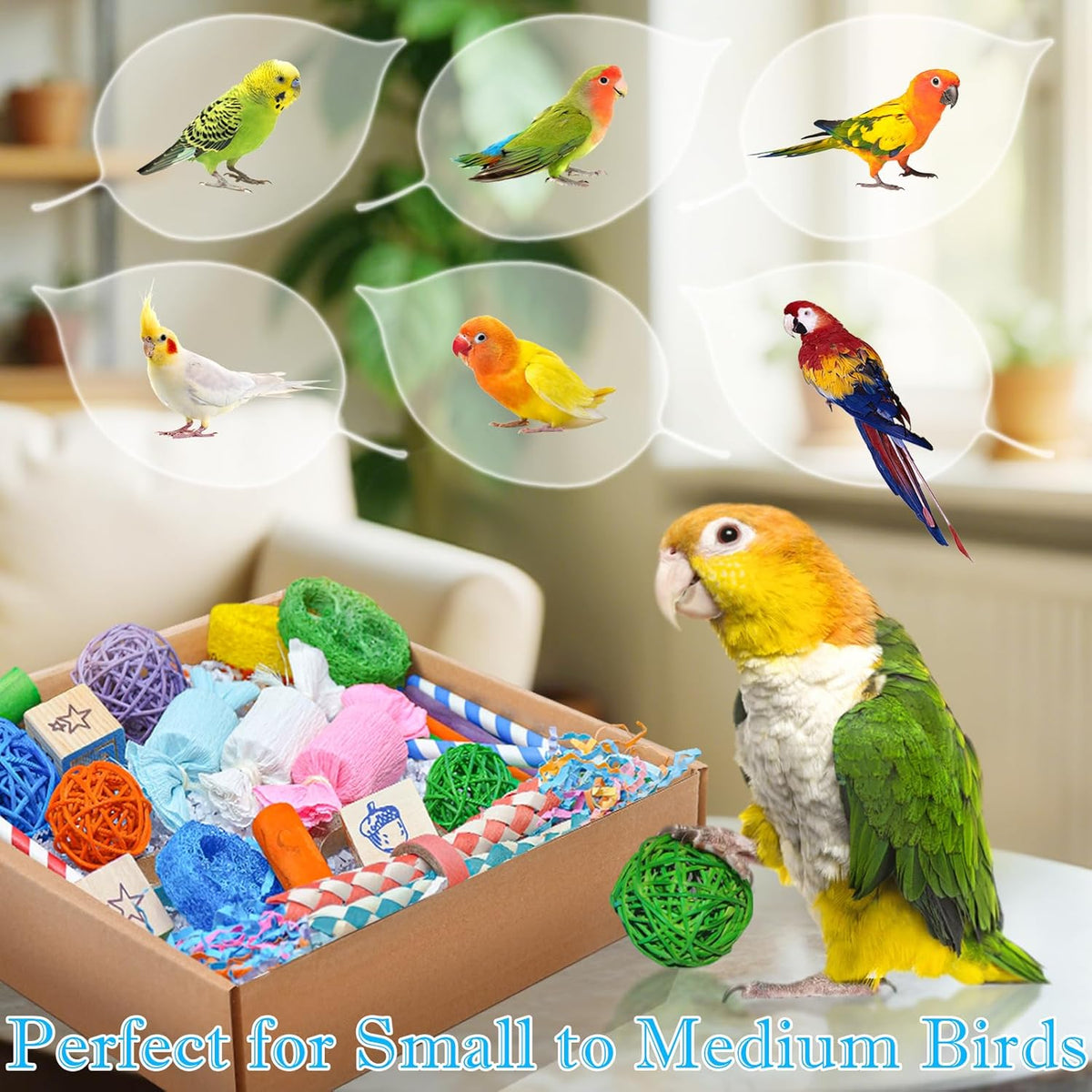 Colorful Bird Foraging & Shredding Toys Box – Safe Bird Toys for Parakeets, Cockatiels, Conures & Small Birds, Perfect for Spring and Summer