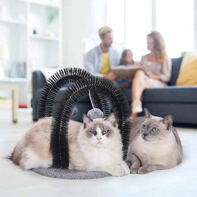 Cat Arch Self Groomer Massager, Kitty Grooming Brush with 2 Brushes and Heavy Plush Base, Cat Face and Back Scratchers, Rubbing Post for Indoor and Outdoor Cats with 2 Plush Balls