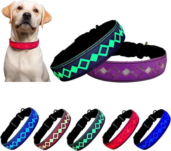 LED Dog Collar with AirTag Holder and Custom ID Tag, 15 Light Modes, Waterproof, Multiple Colors (PURPLE, M(11.8-15.7"))