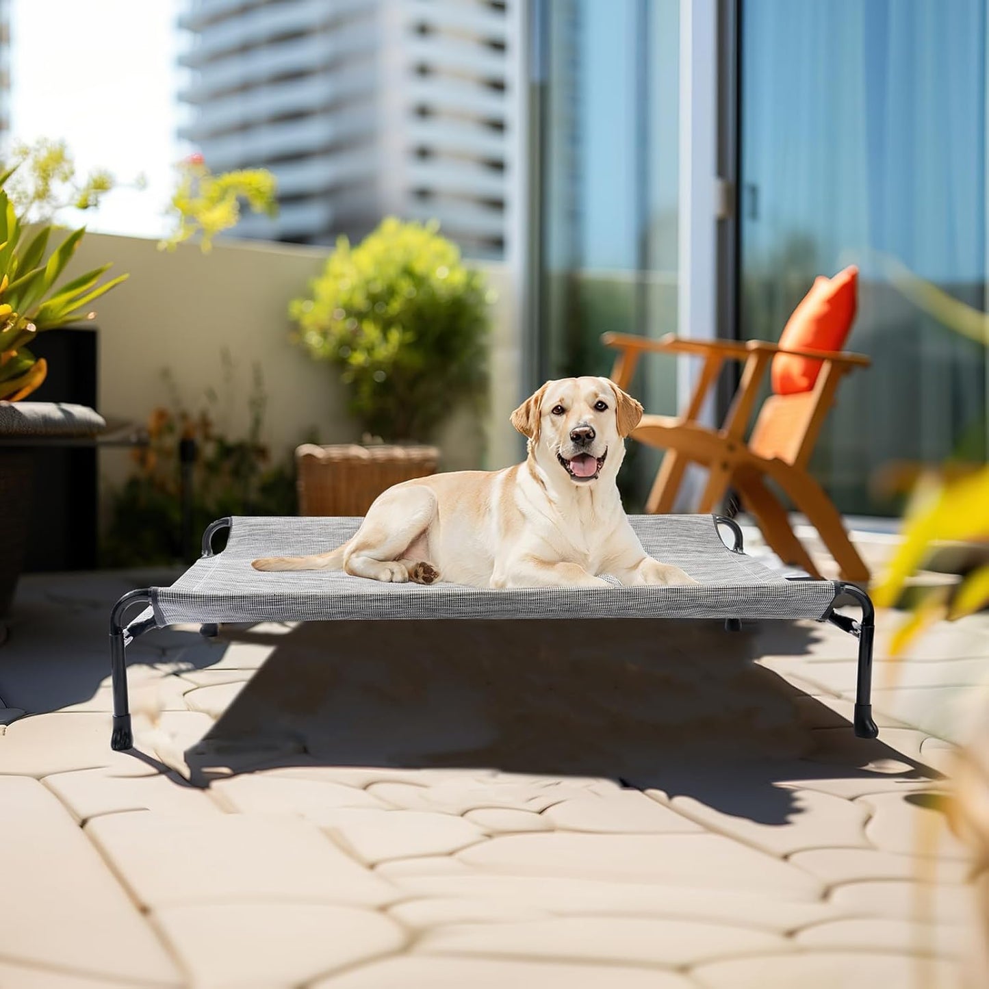 Veehoo Cooling Elevated Dog Bed - Raised Dog Bed with Guardrail, Non-Slip Portable Camping Cot, 41 x 27 Inches, Black Silver - Pet Explorer