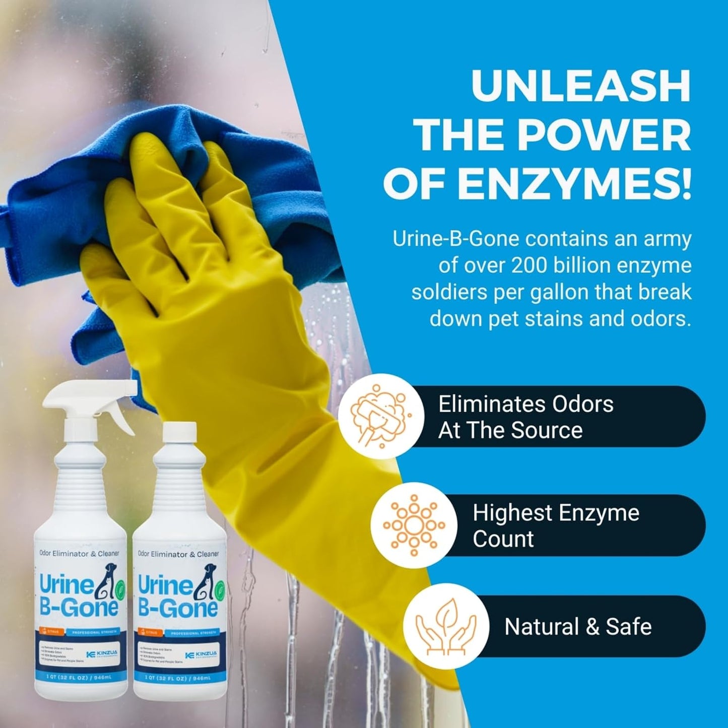 KINZUA ENVIRONMENTAL Urine B-Gone, Professional Enzyme Odor Eliminator & Pet Stain Remover, Human, Cat & Dog Urine Cleaner, Effective on Laundry, Carpets & More, Citrus Scent, 32oz, Pack of Two - Pet Explorer
