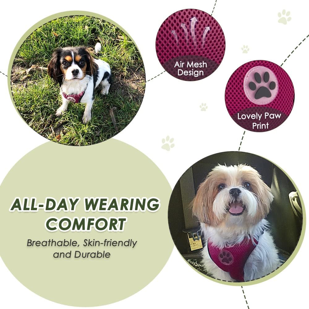 Lukovee Dog Seat Belt for Car, Adjustable Dog Car Harness for Large Medium Small Dogs, Soft Padded & Breathable Mesh Dog Seatbelt with Car Strap and Carabiner(Rose Double Clip,X-Small) - Pet Explorer