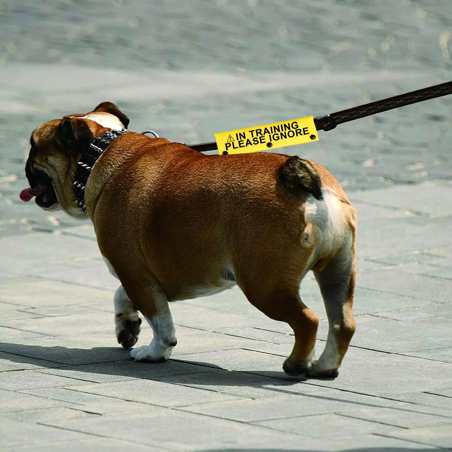 Funny Dog Leash Sleeve in Training Please Ignore Dog Leash Wrap Sleeve Alert Tag Pet Birthday Gift (Training Please Ignore-YE Sleeve) - Pet Explorer