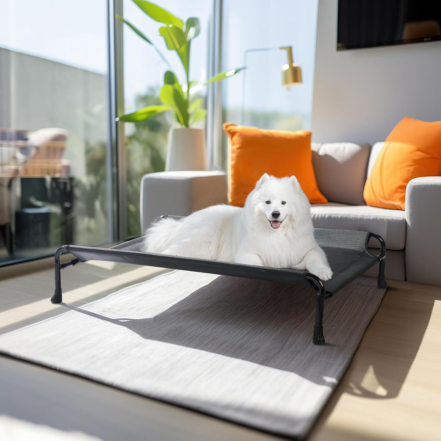 Veehoo Elevated Dog Bed, Cooling Raised Dog Bed with Guardrail & Headrest, Upgraded Non-Slip Silicon Feet, Breathable Teslin Mesh, Portable Pet Cot for Indoor and Outdoor, 35 x 22 Inches, Black - Pet Explorer