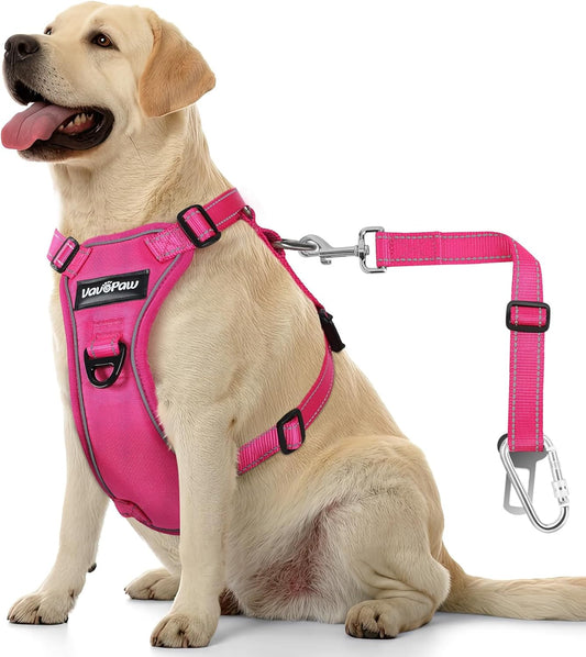Dog Seat Belt Harness for Car, Dog Car Harness Adjustable Mesh Breathable & Dog Seatbelt Safety Tether with Elastic Bungee for Small Medium Large Pets(Rose, XL) - Pet Explorer