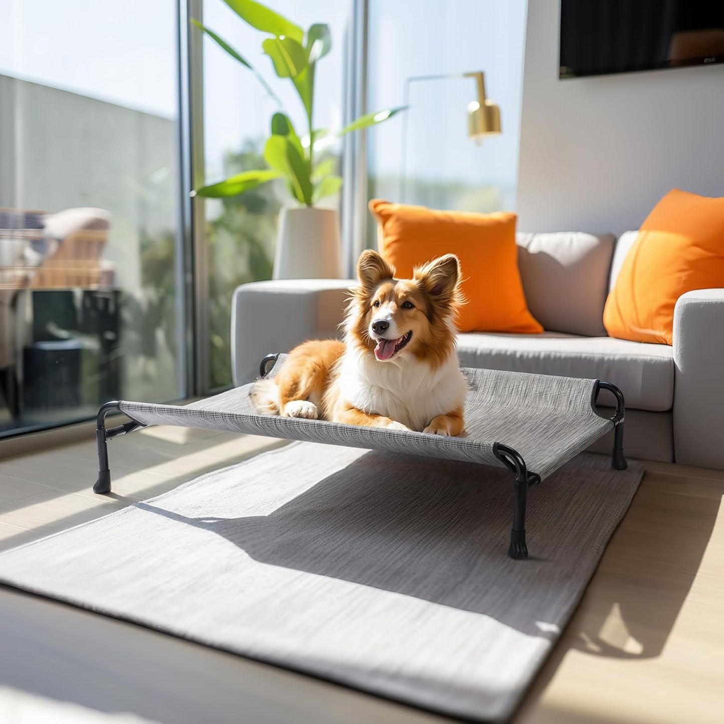 Veehoo Elevated Dog Bed, Cooling Raised Dog Bed with Guardrail & Headrest, Upgraded Non-Slip Silicon Feet, Breathable Teslin Mesh, Portable Pet Cot for Indoor and Outdoor, 35 x 22 Inches, Black Silver - Pet Explorer