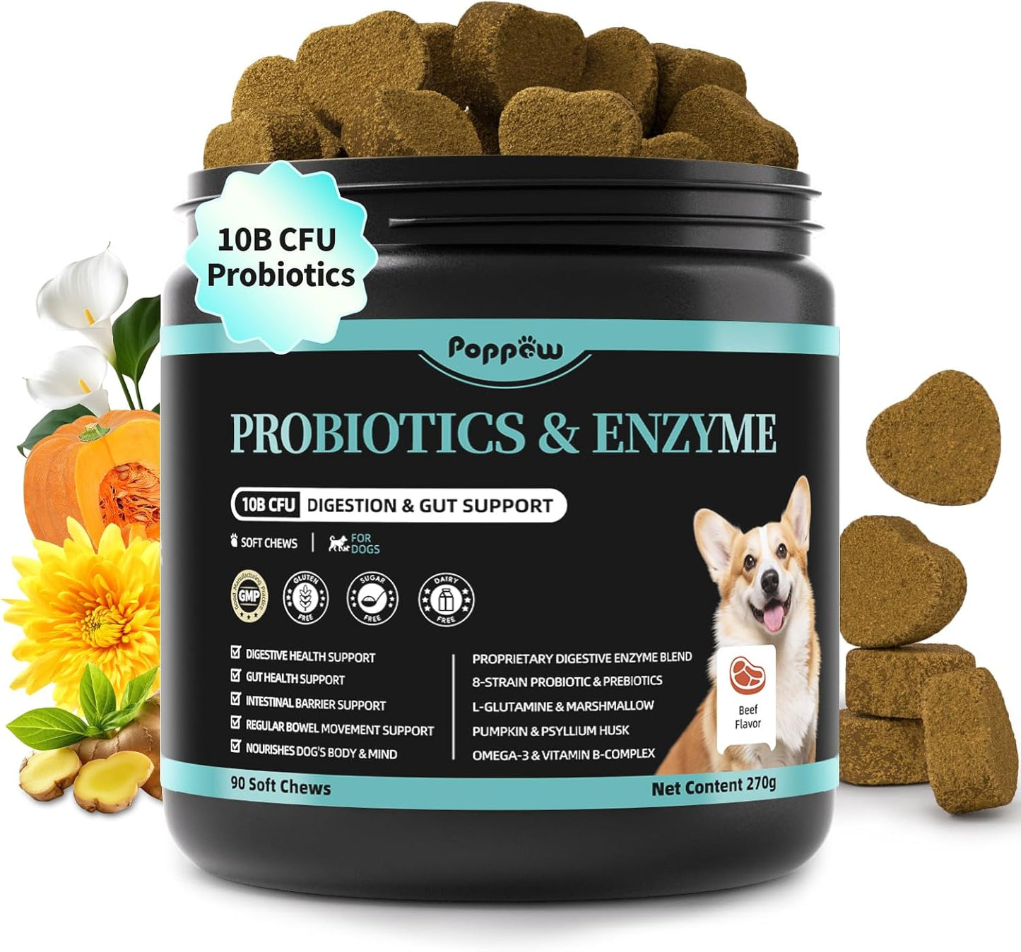 Probiotics for Dogs, Digestive Enzymes for Gut Health Support, Dog Fiber Supplement with Pumpkin for Diarrhea & Bowel Support, Upset Stomach & Gas Relief, Constipation - 90 Count Beef Flavor - Pet Explorer