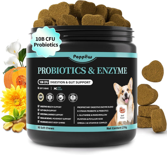 Probiotics for Dogs, Digestive Enzymes for Gut Health Support, Dog Fiber Supplement with Pumpkin for Diarrhea & Bowel Support, Upset Stomach & Gas Relief, Constipation - 90 Count Beef Flavor - Pet Explorer