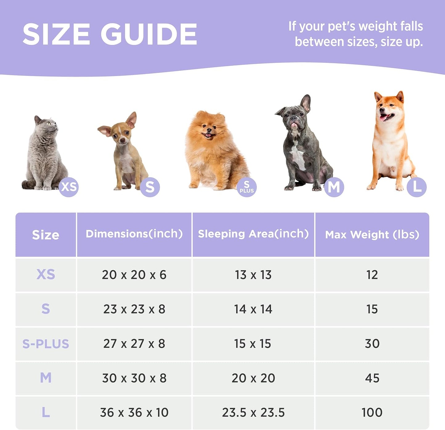 LE SURE Cat Beds for Indoor Cats - Round Cat Bed Donut Small Dog Bed Calming Pet Beds, Cute Modern Beds with Jacquard Shaggy Plush & Anti Slip Bottom, 20 Inch, Purple - Pet Explorer