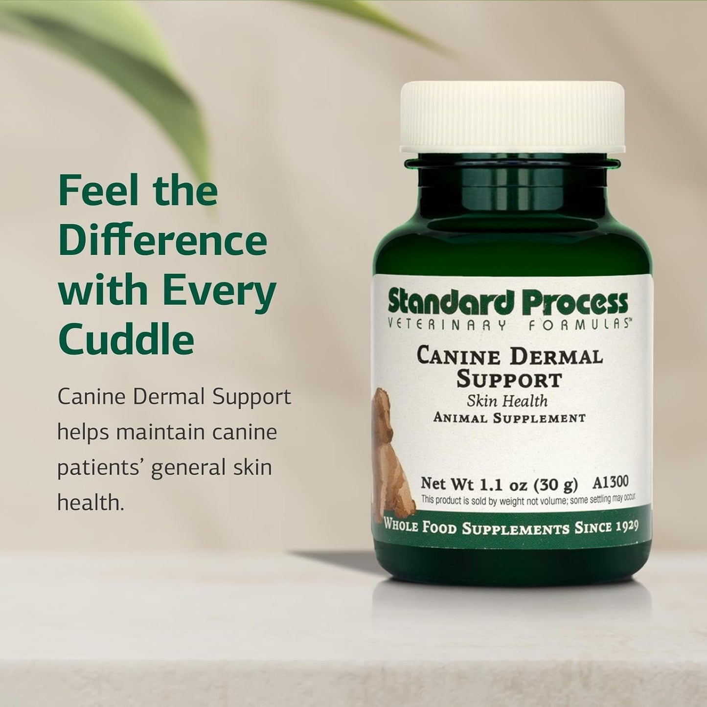 Standard Process Canine Dermal Support - Skin & Adrenal Gland Support Supplement - Comprehensive Skin Health Support Supplement for Dogs - Daily Immune & Liver Support Powder - 30 g - Pet Explorer