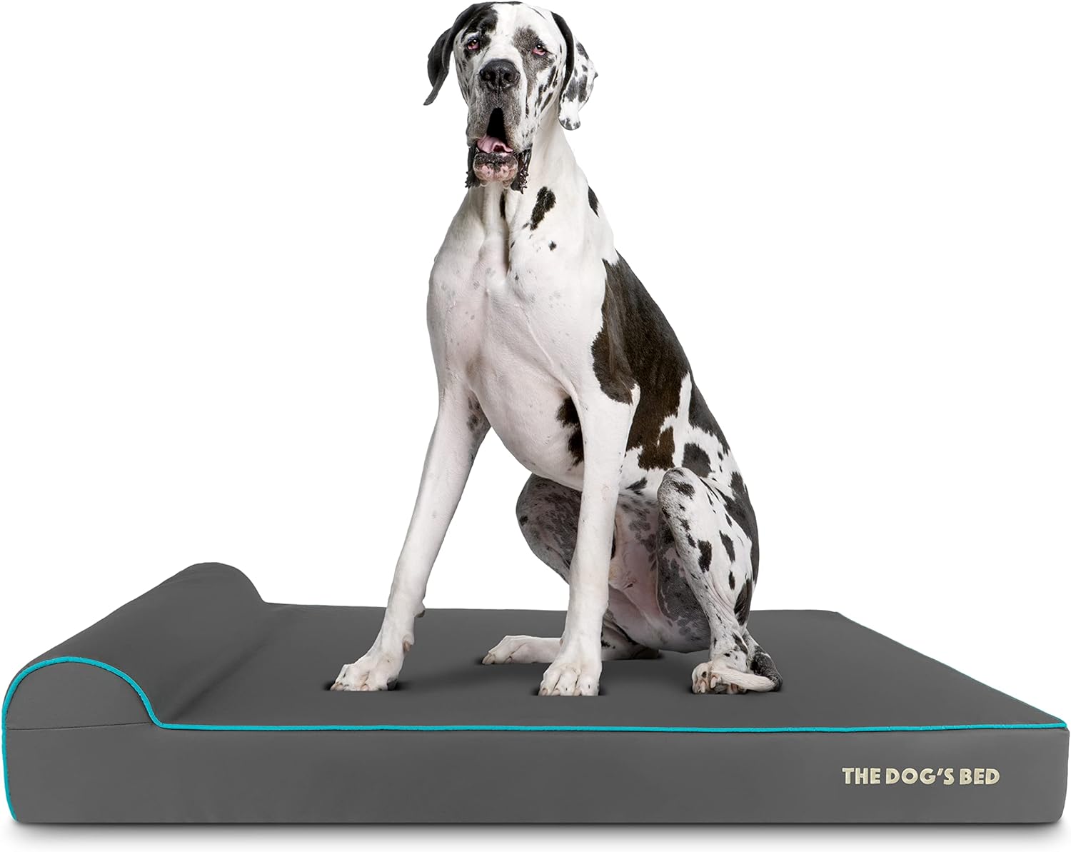 The Dog’s Bed Orthopedic Headrest Dog Bed XXL Grey/Blue 54x36, Memory Foam, Pain Relief for Arthritis, Hip & Elbow Dysplasia, Post Surgery, Lameness, Veterinary Approved, Waterproof Washable Cover - Pet Explorer