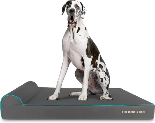 The Dog’s Bed Orthopedic Headrest Dog Bed XXL Grey/Blue 54x36, Memory Foam, Pain Relief for Arthritis, Hip & Elbow Dysplasia, Post Surgery, Lameness, Veterinary Approved, Waterproof Washable Cover - Pet Explorer