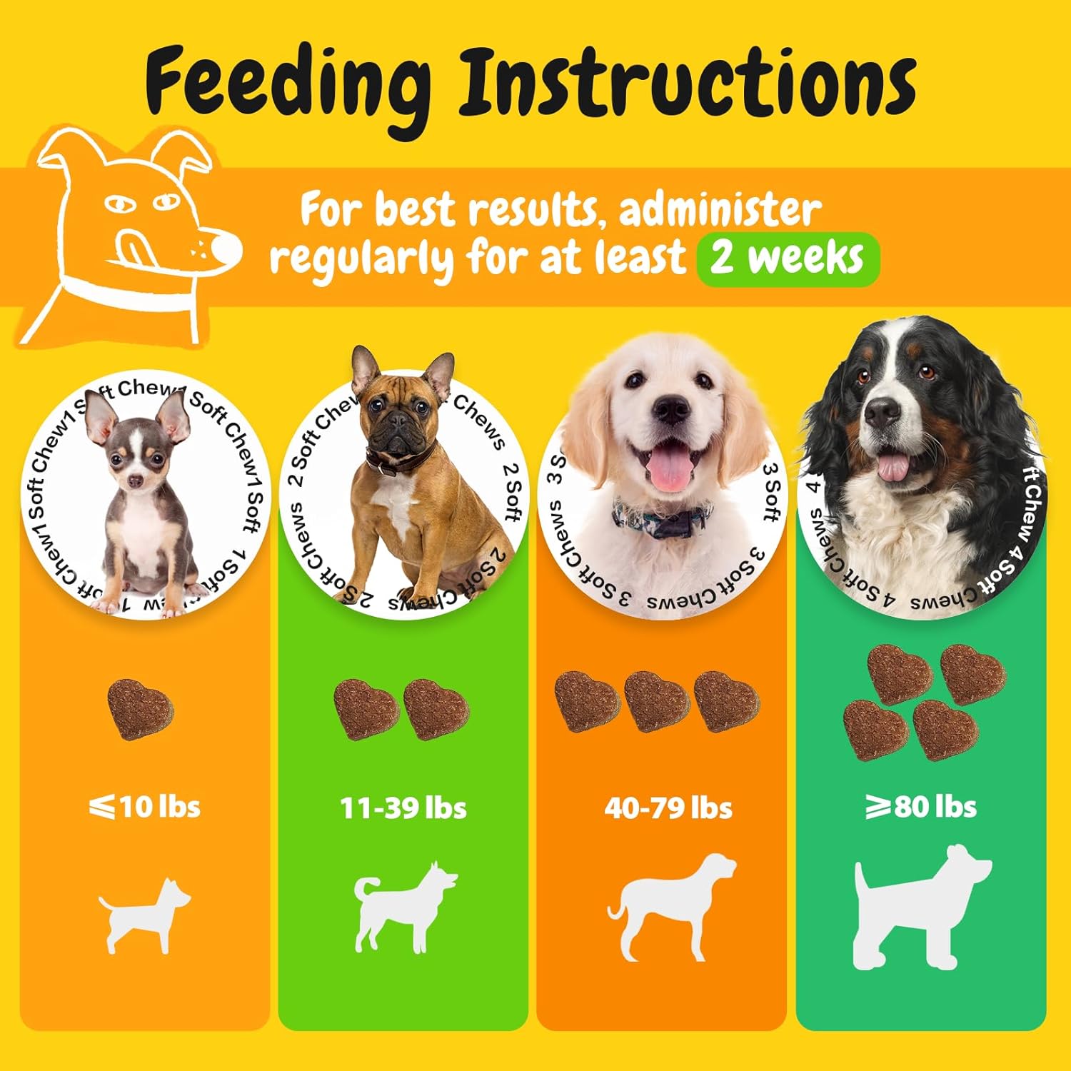Penpen Probiotics for Dogs, Dogs Probiotics for Digestive Health, Multi-Probiotic and Enzyme Blend Promote Gut Health & Immune Support, Eases Sensitive Stomachs (Beef Chews, 50ct) - Pet Explorer