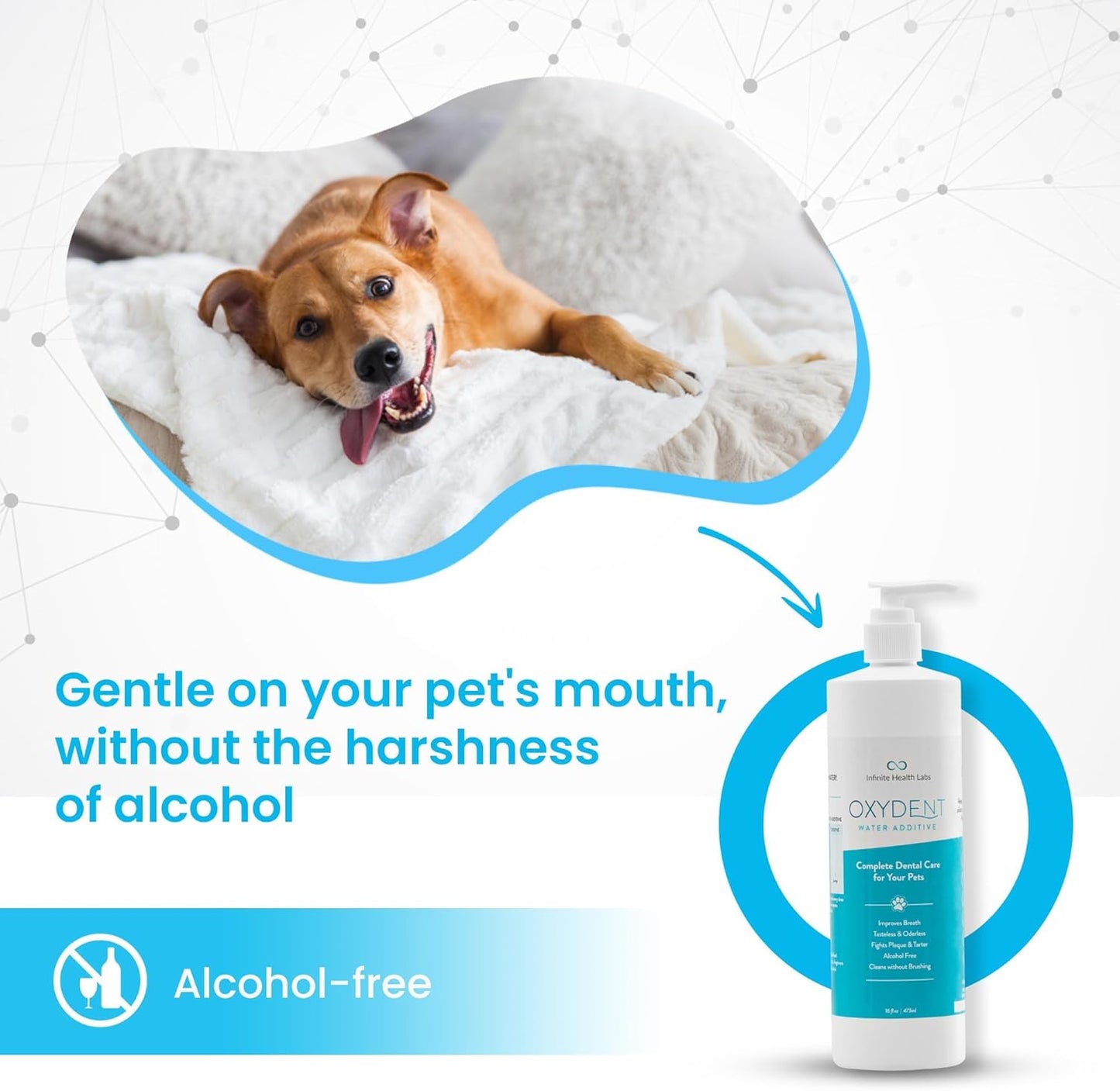 Oxydent Premium Pet Dental Care Solution - Pet Water Additive & Mouthwash for Teeth Cleaning - Eliminate Bad Dog & Cat Bad Breath - Dog Dental Rinse - Fights Tartar & Plaque - Pet Explorer
