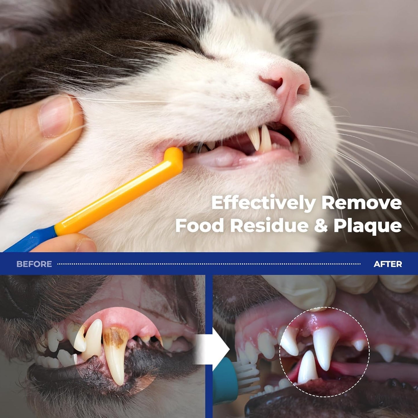PETHROOM] Pet Toothbrush for Cats and Dogs | Round Shaped Head with Ultra Soft Bristle for Deep Cleaning Dental Care, Kitten and Small Dogs, Tartar Plaque Removal (Deep Point) - Pet Explorer