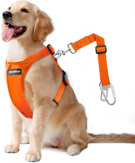 Dog Seat Belt, Safety Vest Dog Car Harness with Adjustable Buckle Dog Seat Belt for Vehicle Nylon Pet Safety Seat Belts Heavy Duty(XL, Orange) - Pet Explorer