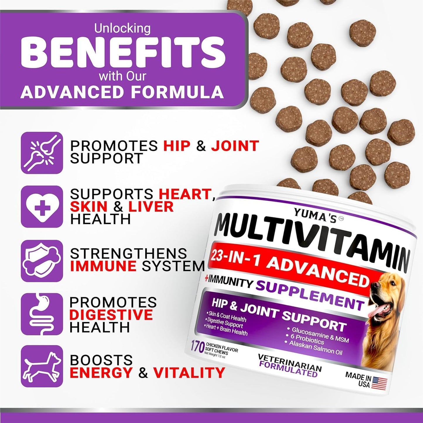 2-Pack Dog Multivitamin Chewable with Glucosamine - Dog Vitamins and Supplements - Senior & Puppy Multivitamin for Dogs - Hip & Joint Support - Immune Health, Skin, Heart, Digestion, Probiotics - Pet Explorer