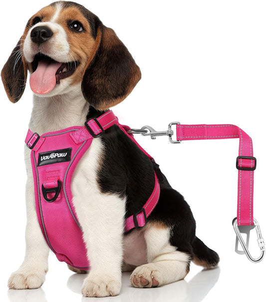 Dog Seat Belt Harness for Car, Dog Car Harness Adjustable Mesh Breathable & Dog Seatbelt Safety Tether with Elastic Bungee for Small Medium Large Pets(Rose, M) - Pet Explorer
