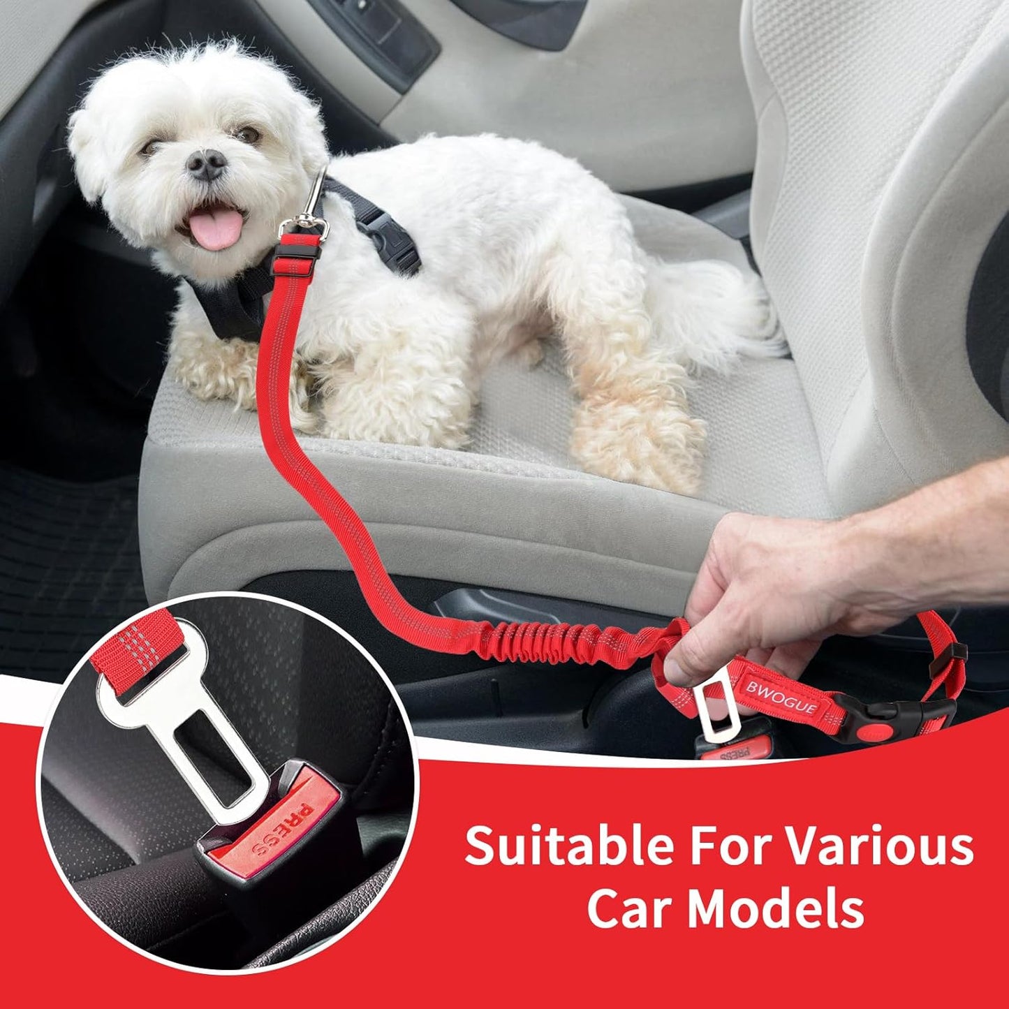 BWOGUE Pet Dog Cat Seat Belt Reflective Car Dog Headrest Restraint Leash Elastic Buffer Bungee Adjustable Tangle-Free Safety Leads Vehicle Seatbelt Harness for Small, Medium and Large Dogs (1 Pack) - Pet Explorer