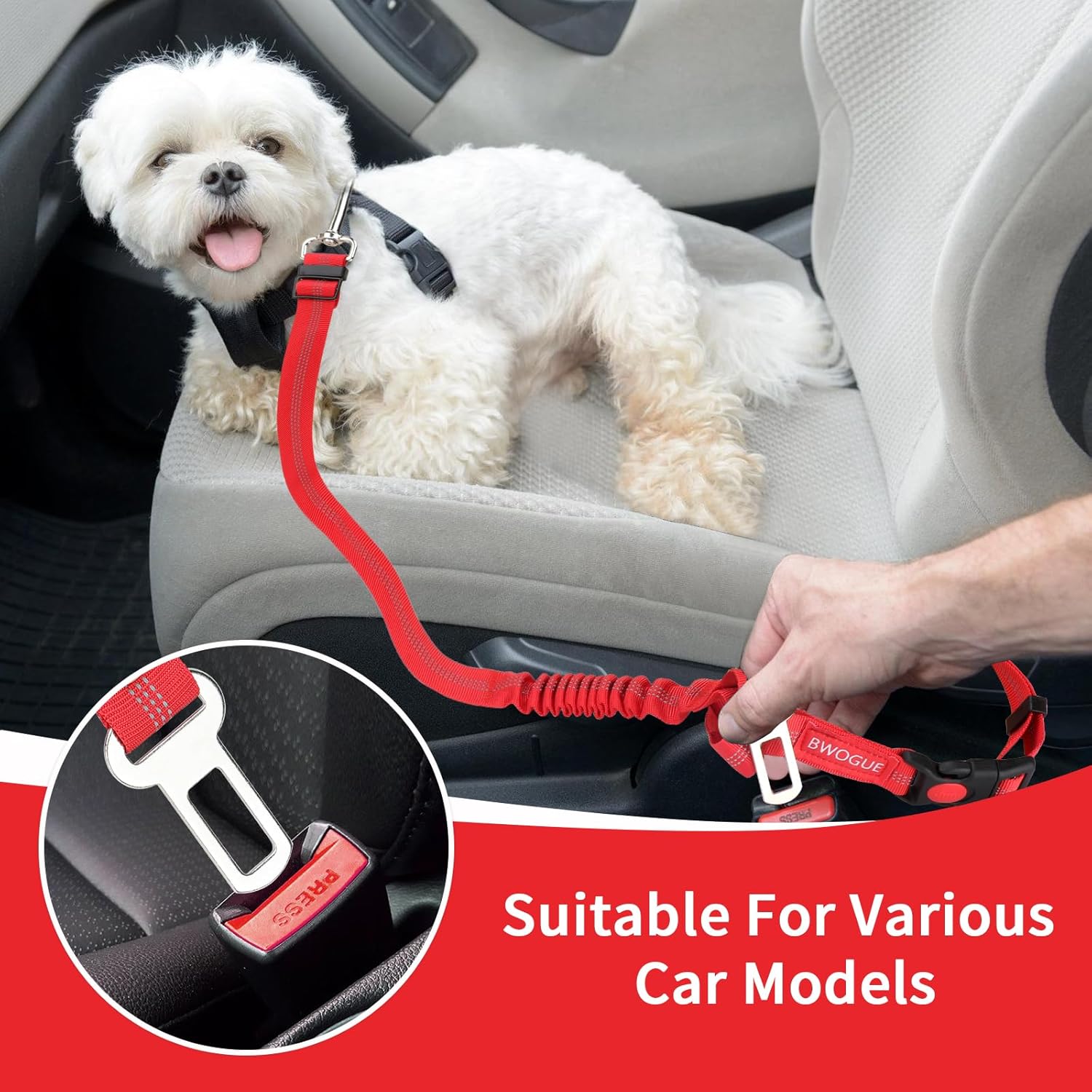 BWOGUE Pet Dog Cat Seat Belt Reflective Car Dog Headrest Restraint Leash Elastic Buffer Bungee Adjustable Tangle-Free Safety Leads Vehicle Seatbelt Harness for Small, Medium and Large Dogs (1 Pack) - Pet Explorer