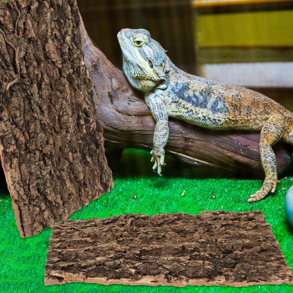 Totority Cork Bark 3Pcs Plants Decor Cork Terrarium Background, Cork Tile Background Decorative Tree Bark Adornment Reptile Climbing Plaything for Gecko Lizard Tortoise Frog Bearded Dragon Tank Access - Pet Explorer