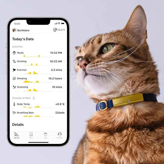 Health Tracker for Cats - Smart Cat Collar with Safety Breakaway Buckle for Indoor Cats, Wellness Alerts, Real-time Monitoring (Kimono (Sakura),S)