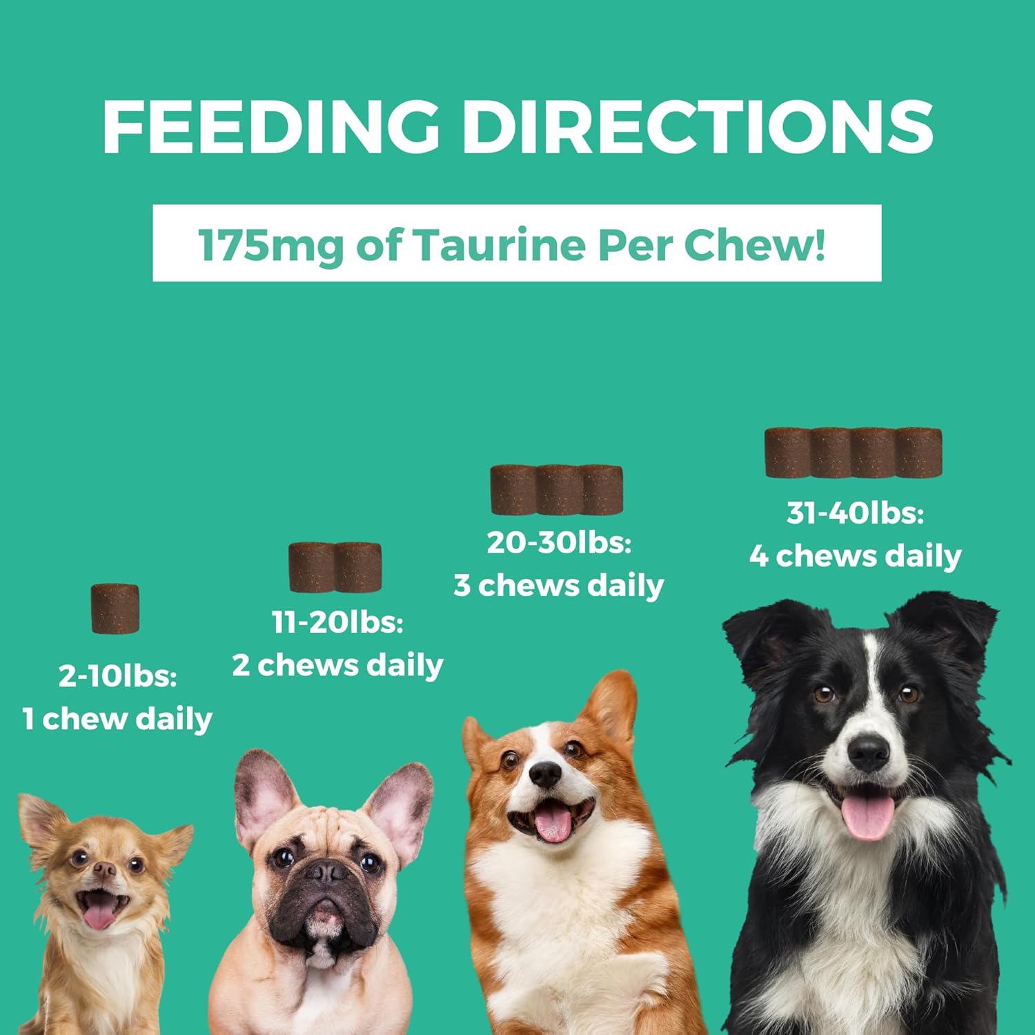 Nootie PROGILITY Daily Mini Multivitamin Chews for Dogs - Supports Immunity, Heart, Eye, Brain, and Bone Health with Taurine- for All Dog Sizes - 60 Soft Chews - Sold in Over 5,000 Pet Stores - Pet Explorer