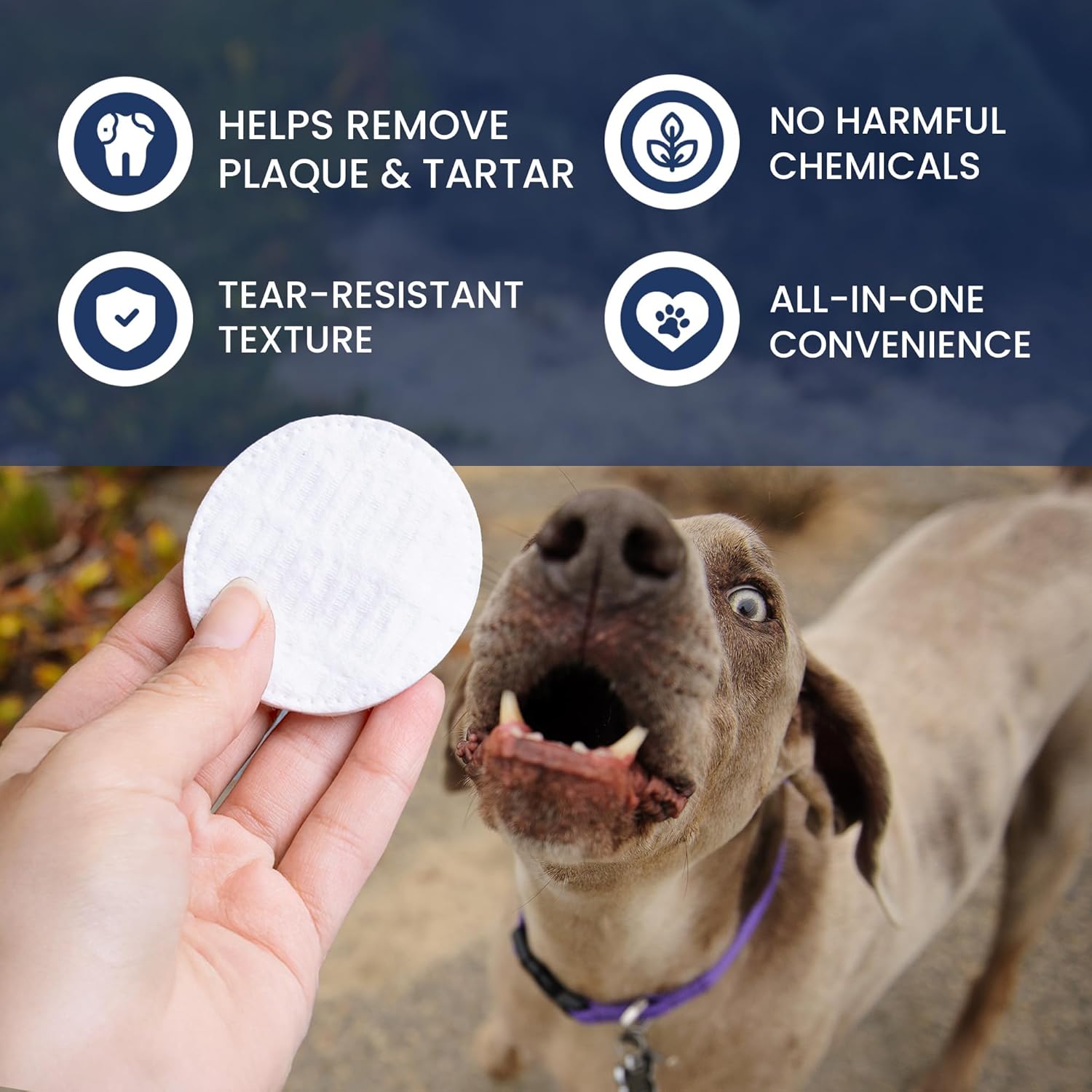 Rad Health Dog Dental Wipes - 100ct Pet Dental Finger Wipes, Easy No-Brush Teeth Cleaning, Removes Plaque & Tartar, Boosts Oral Hygiene, Freshens Breath, Gentle on Mouth, Strong on Build-Up - Pet Explorer