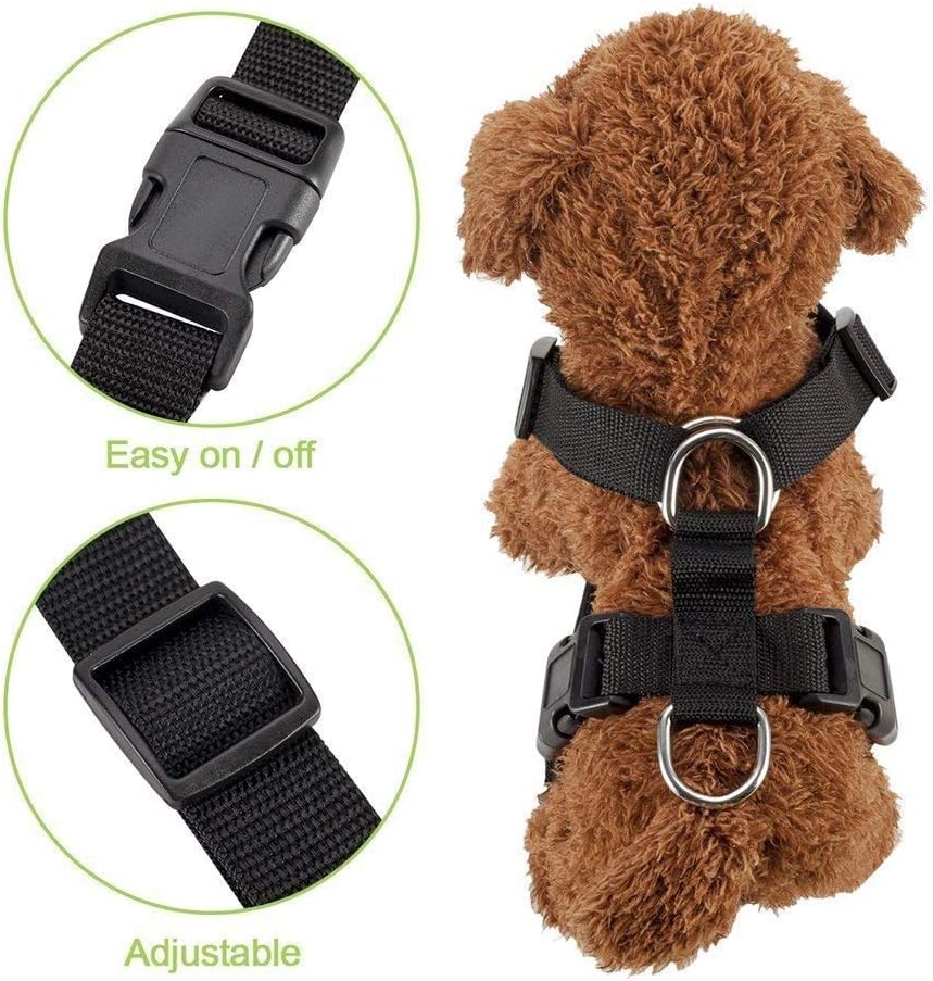 SlowTon Dog Seat Belt Harness for Car, Dog Car Harness Adjustable Mesh Breathable & Dog Seatbelt Safety Tether with Elastic Bungee for Small Medium Large Pets(Blue, Single Clip, XS) - Pet Explorer