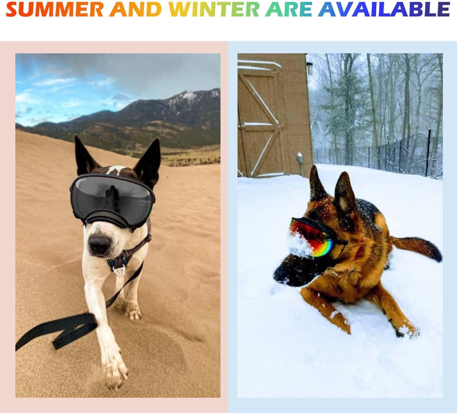 Medium Dog Sunglasses with Adjustable Strap UV Protection, Winproof Dog Puppy Sunglasses, Suitable for Medium Dog Pet Glasses, Dogs Eyes Protection,Soft Dog Goggles - Pet Explorer