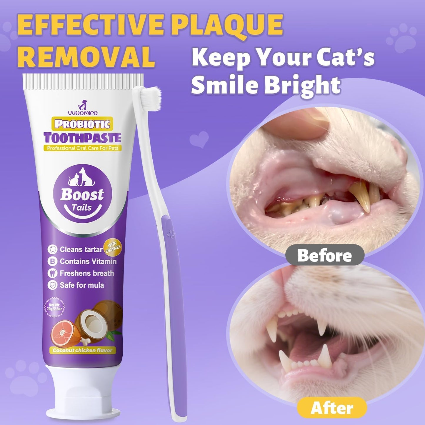 Cat Toothbrush and Toothpaste Kit - Includes Toothpaste (Coconut Chicken 2.5 oz.) Soft Brush, Finger Brush - Provides Safe and Effective Oral Care for Kittens and Adult Cats - Pet Explorer