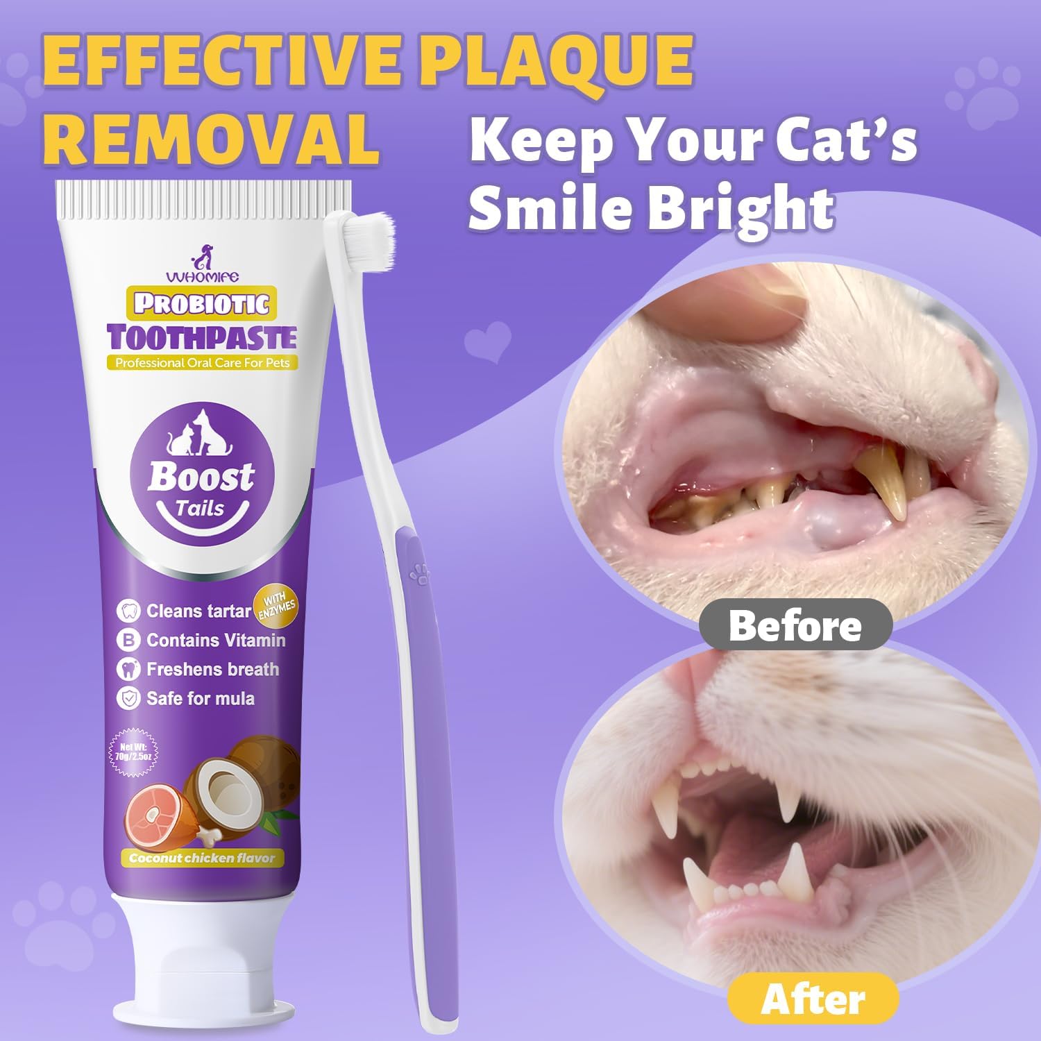 Cat Toothbrush and Toothpaste Kit - Includes Toothpaste (Coconut Chicken 2.5 oz.) Soft Brush, Finger Brush - Provides Safe and Effective Oral Care for Kittens and Adult Cats - Pet Explorer