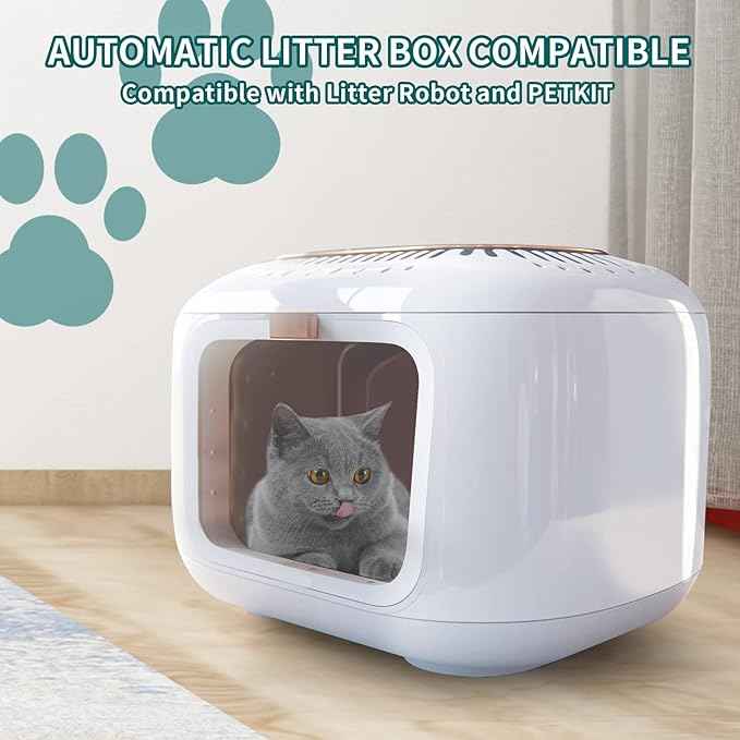 Plant-Based Cat Litter, Odor Control Quick Clumping Tofu Cat Litter, 6 lbs, Low Tracking Dust Control Lightweight Flushable Unscented Natural Kitty Litter