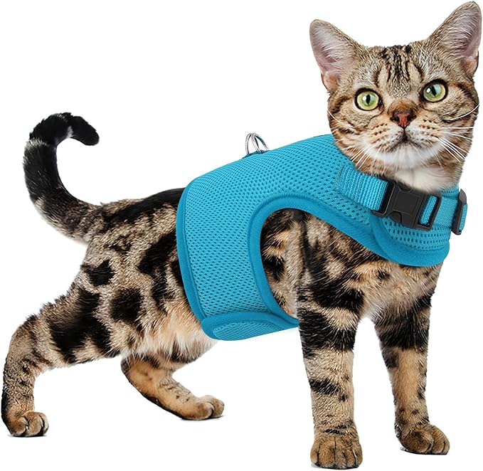 Athena Collection Adjustable Cat Harness with Velcro, Portable Small Sized Cat Vest Harness Breathable Comfy Escape Proof Cat Kitten Harness Pet Supplies for Outdoor Walking, Training, Blue