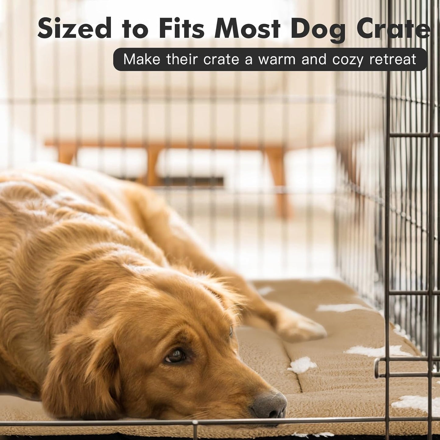 Mora Pets Dog Crate Pad Dog Kennel Bed Mat for Large Dogs Washable Cute Star Pet Bed for 36 inch Cage Ultra Soft Flat Puppy Cat Cushion for Cozy Sleeping Anti-Slip Brown 36 x 23 - Pet Explorer
