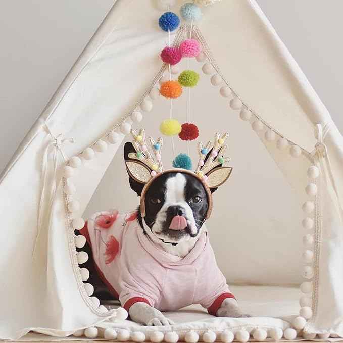 MINICAMP Pet Teepee Bed for Dogs and Cats – Cozy Indoor Dog Tent with Natural Cotton– Luxury Pet House & Hideaway Bed for Small to Large Dogs, Cats & Small Animals - Made in EU (Large)