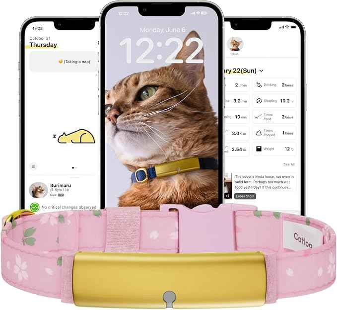 Health Tracker for Cats - Smart Cat Collar with Safety Breakaway Buckle for Indoor Cats, Wellness Alerts, Real-time Monitoring (Kimono (Sakura),XXL)