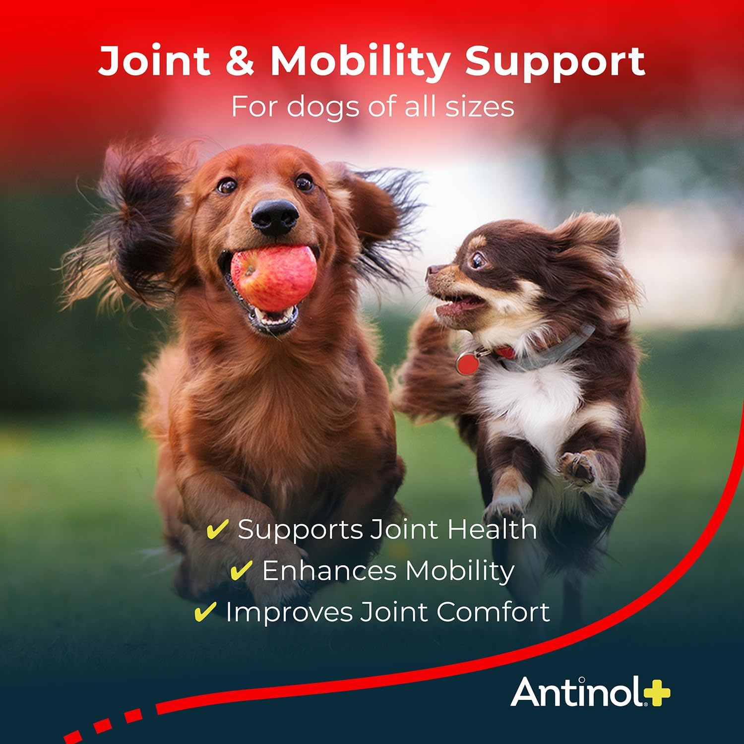 Plus, Mobility, Hip, and Joint Supplement for Dogs, Green-Lipped Mussels and Krill Oil - Dog Joint Supplement, Better and Faster Than Glucosamine and Chondroitin, 90 Soft Gels - Pet Explorer