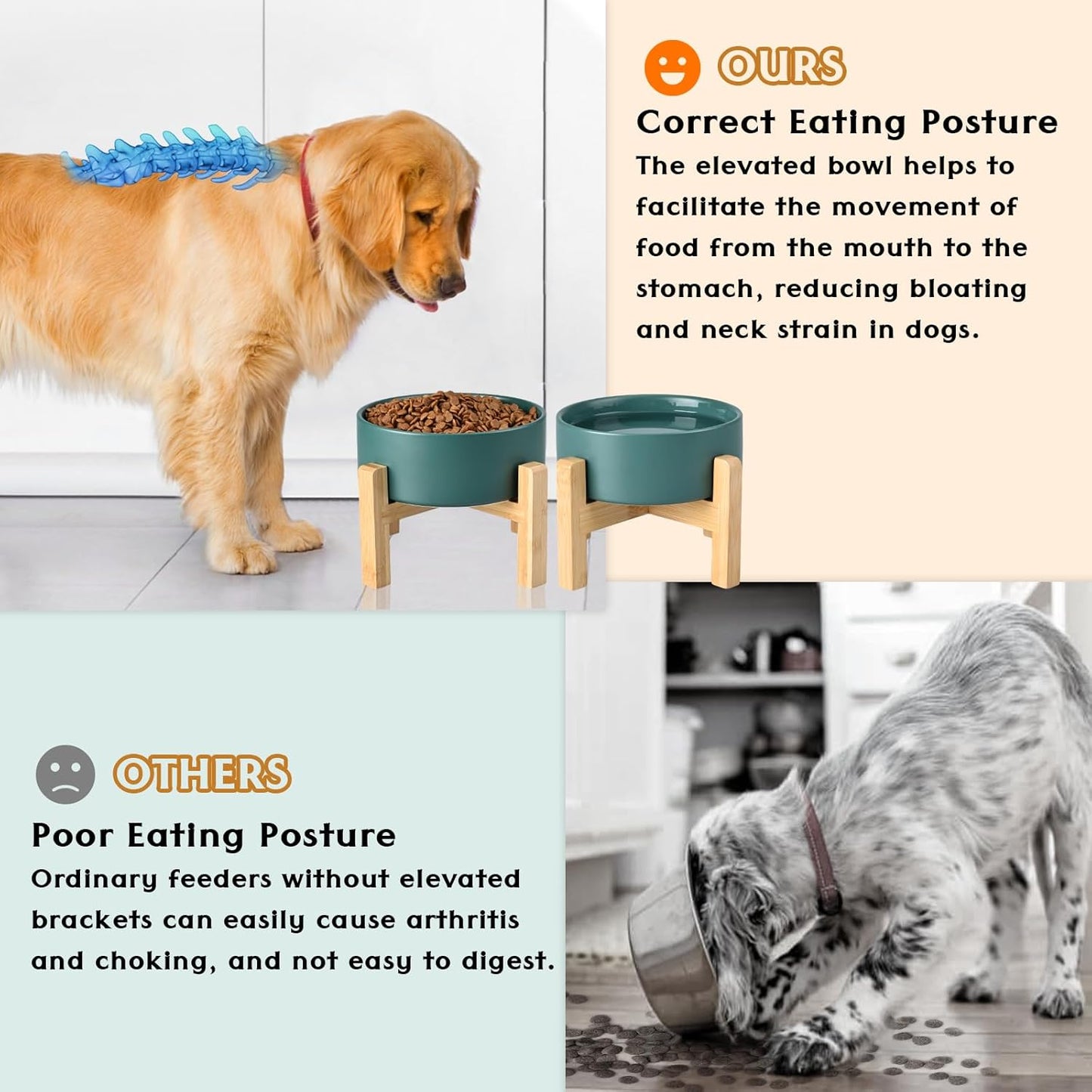 SPUNKYJUNKY Ceramic Elevated Dog Bowls 2 Pack - 6.1inch Raised Dog Bowls with Non-Slip Wooden Stand for Medium Dogs Dishwasher Safe(Green,28.7OZ*2) - Pet Explorer
