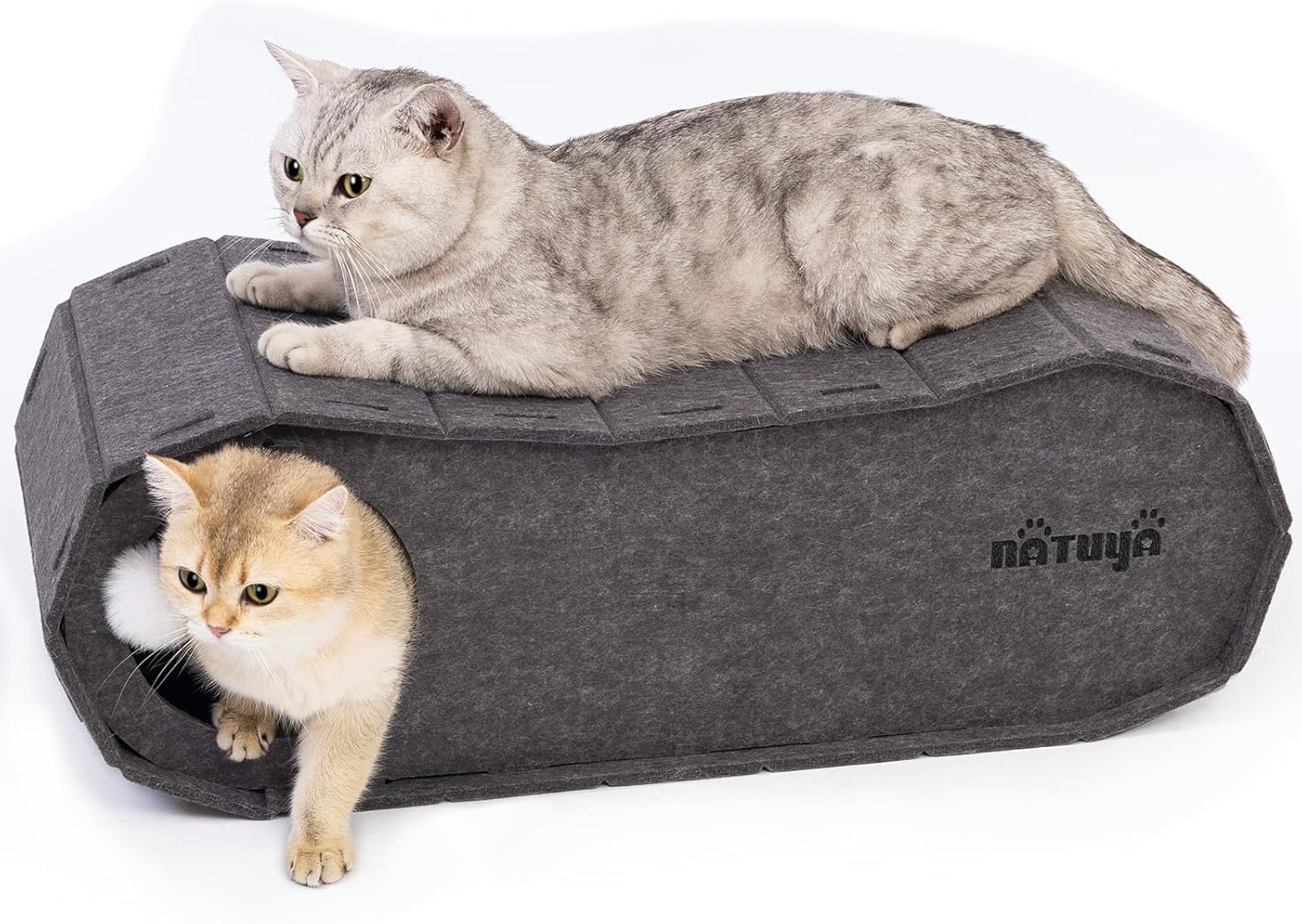 NATUYA Cat Bed Cave for Indoor Cats, Large Cat Lounge Cave Bed with Toy Ball, Enclosed Scratch Resistant Detachable Felt Cat Hideaway Bed for Cats up to 22 Lbs - Pet Explorer
