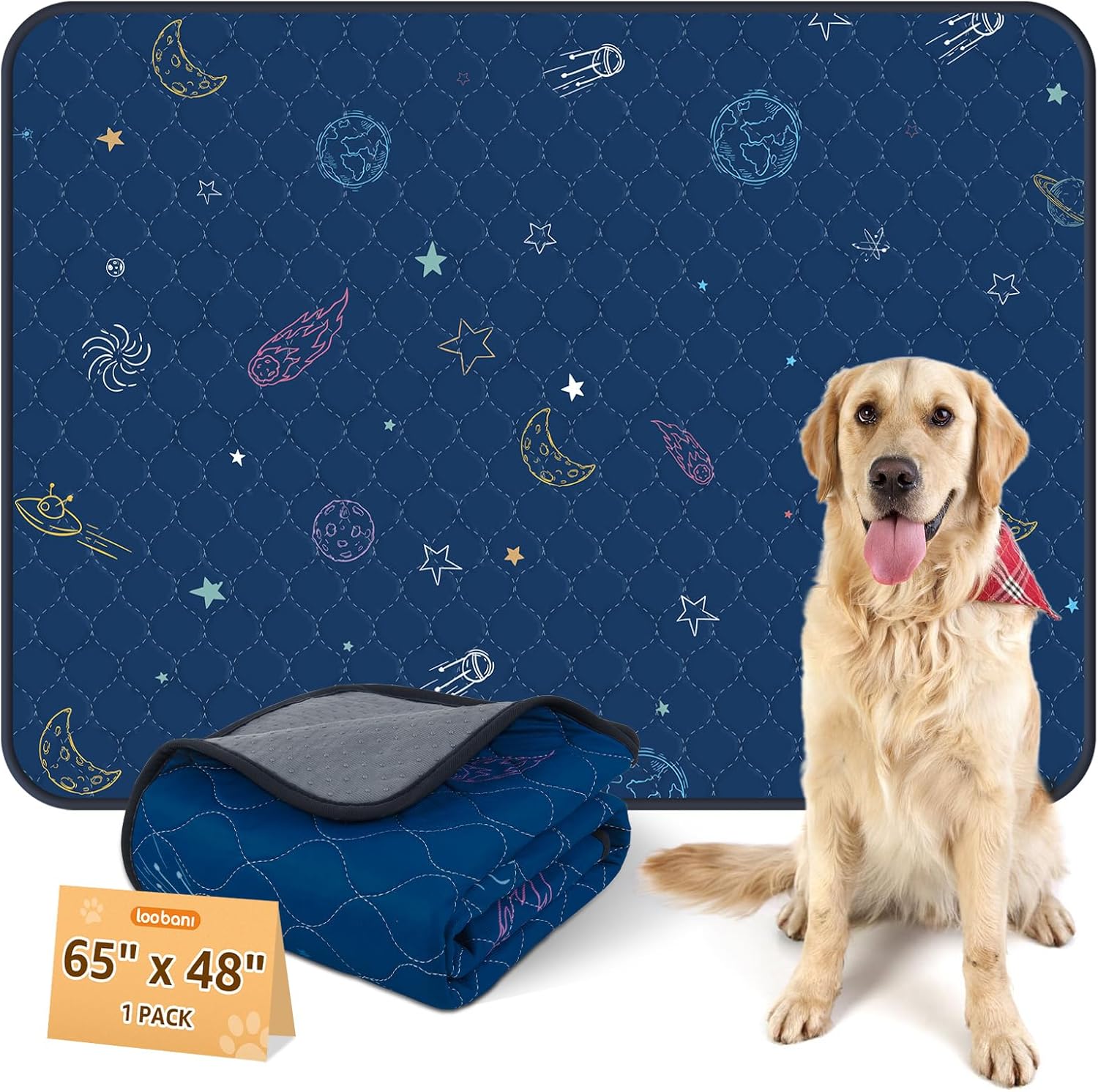 LOOBANI Washable Pee Pads for Dogs: Extra Large Dog Pee Mat Waterproof 65" x 48", Reusable Pet Whelping Pads, Absorbent and Non-Slip Dog Training Mats for Playpen, Floor, Sofa Protection, Cage, Blue - Pet Explorer