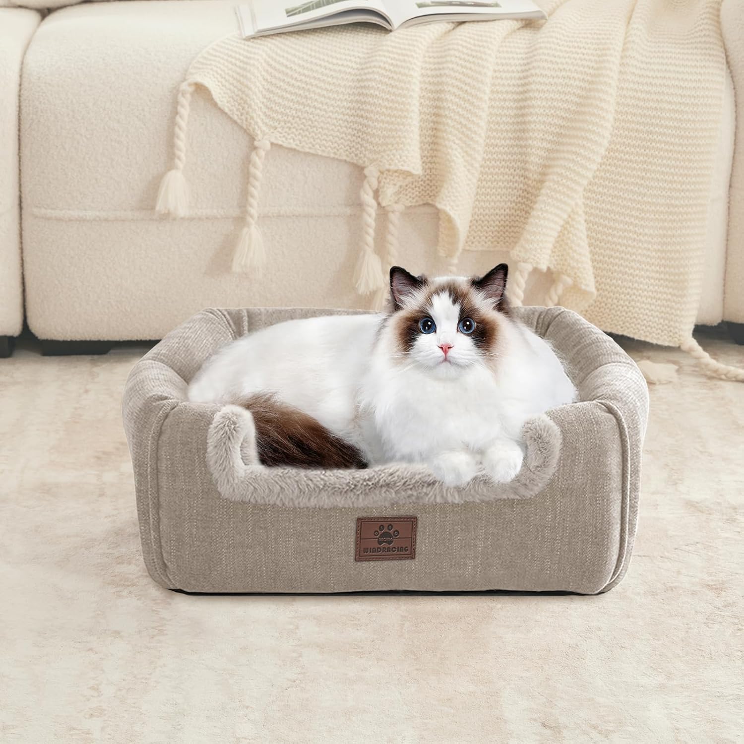 Cat Bed for Indoor Cats - Cat Cave Cat House Cats Tent with Removable Washable Cushioned Pillow, Soft and Self Kitten beds - Pet Explorer