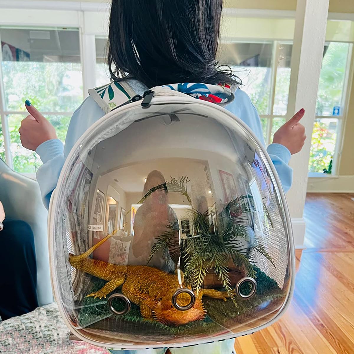 Hamster Backpack Carrier,Bearded Dragon Carrier Backpack for Kids with Clear Bubble Window,Small Animal Travel Backpack for Guinea pig Hedgehog Rat,Sugar Glider Airline Approved (Multicolor, Backpack) - Pet Explorer