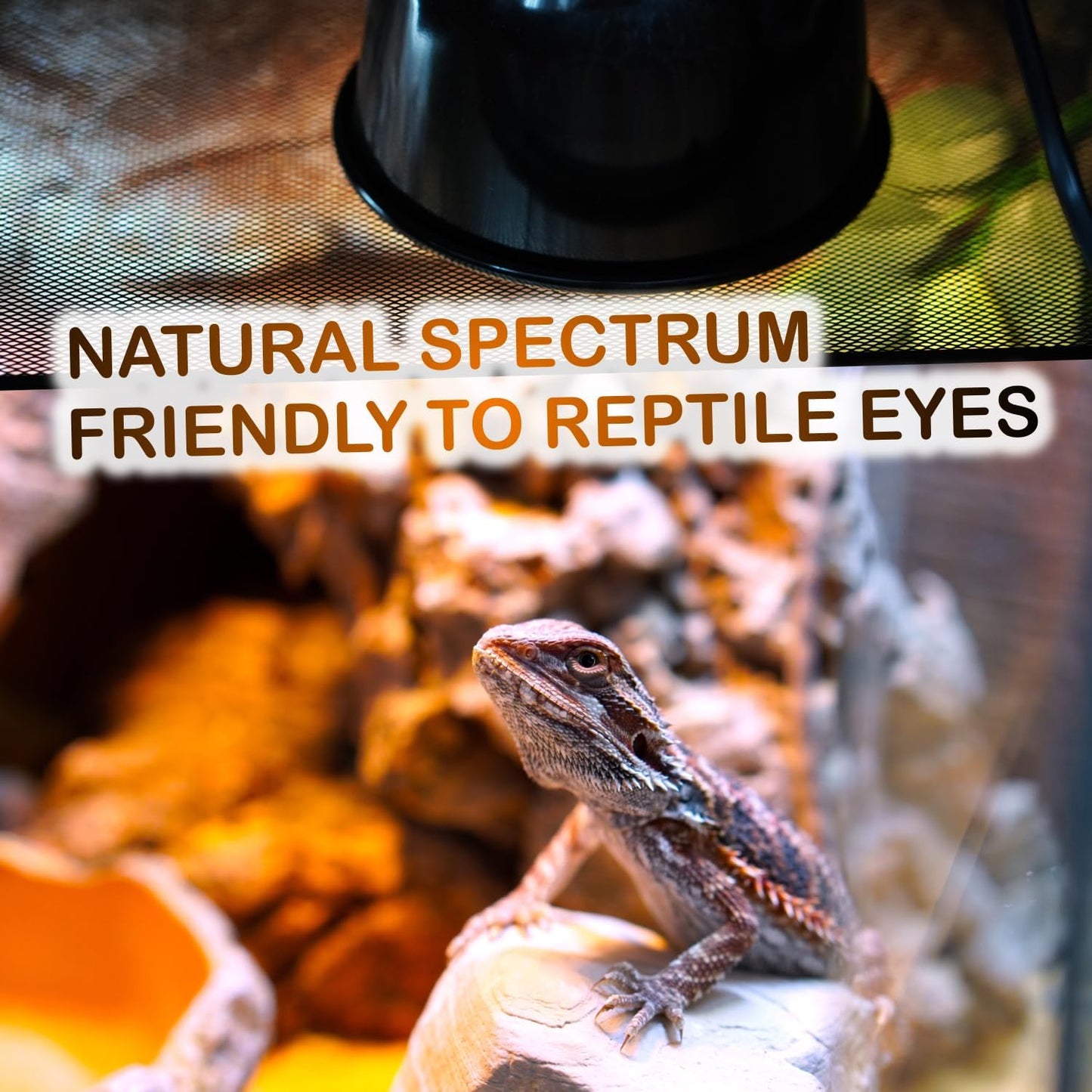MRREPTILE Reptile Heat Lamp Bulbs, 2-Pack 100W Daylight Basking Bulbs, Reptile Basking Lamps, Bearded Dragon Basking Light, Simulated Natural Basking for Reptiles Snakes Lizards Tortoise Heater