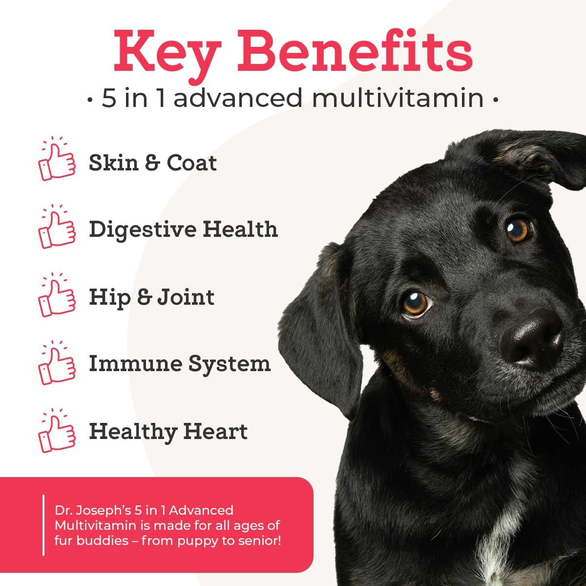 Dr. Joseph's VetPro Complete Multivitamin Dog Supplement, 60 Count (Small Dog 60 Days Supply), 5 in 1 Chew with Vitamins, Enzymes & Nutrients, Hip and Joint Health, Immune System and Allergy Support - Pet Explorer